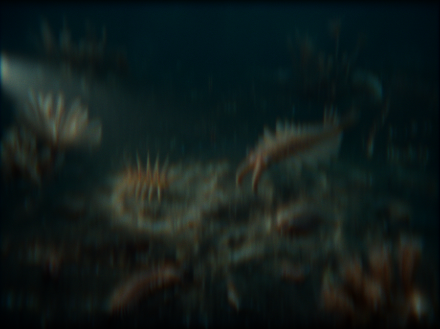 Rendered view through optical system 1